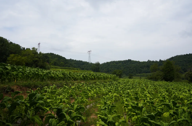 621bfea8-f5e8-40cb-871c-8f4444c925f6.png